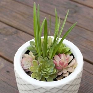 Meet your Posher, Miriann